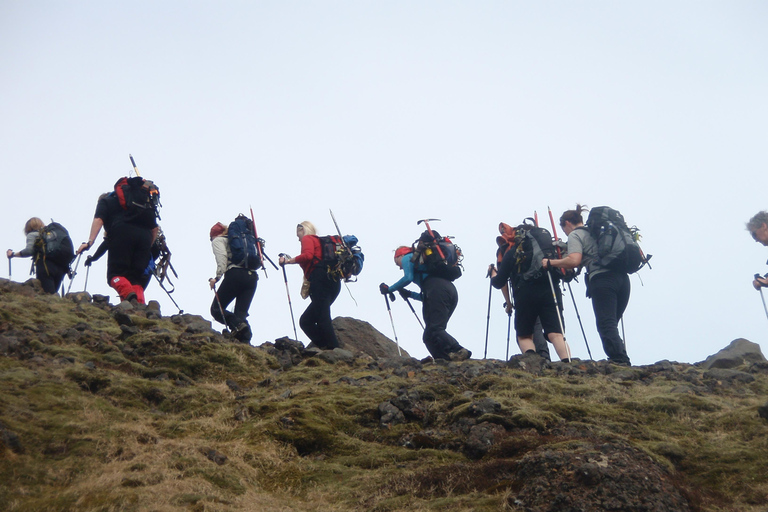 From Seljavallalaug: Eyjafjallajökull Volcano Summit Hike