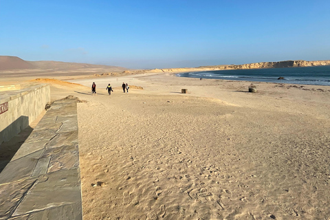 RESERVA NACIONAL DE PARACAS Excursión en quad ATV en PerúRESERVA NACIONAL DE PARACAS EN ATV