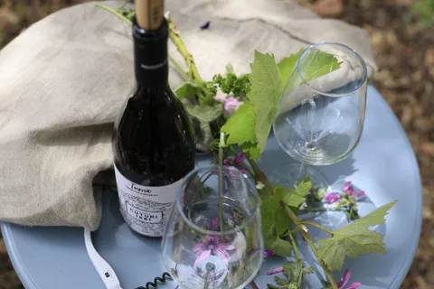 Lecce: tour delle cantine di Taranto e Manduria con degustazione di vini