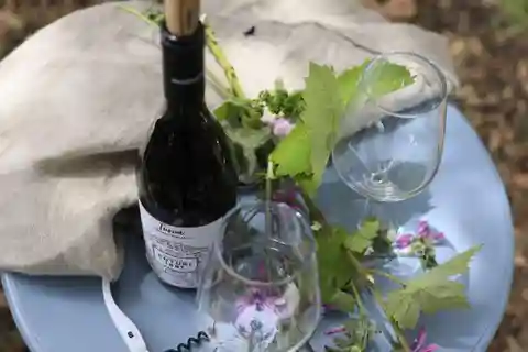 Lecce: tour delle cantine di Taranto e Manduria con degustazione di vini