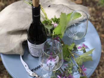 Lecce: Taranto and Manduria Winery Tour with Wine Tasting