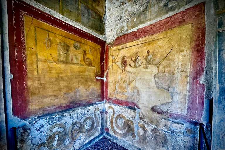 Da Positano: Pompei, Vesuvio e degustazione di vini con pranzoDa Positano: Pompei, Vesuvio e degustazione di vino con pranzo