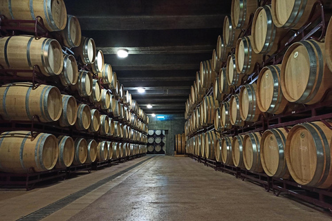 Private Tour Alicante: Wineries with Tasting and Guadalest Castle
