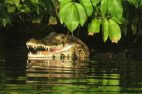 Puerto Maldonado: Tambopata Expeditions 4 Days (expeditions) Puerto Maldonado: Tambopata Expeditions 4 days (expeditions)