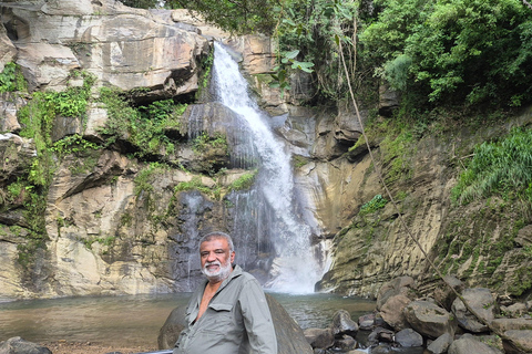 Esplora le cascate iconiche di Ella con un&#039;avventura panoramica in tuk-tuk