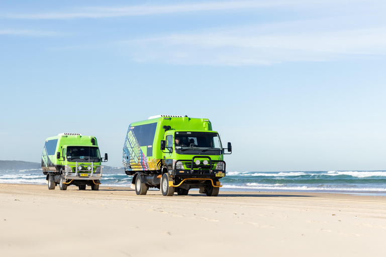 Unlimited Sandboarding Experience in Port Stephens Port Stephens: Unlimited Sandboarding & 4WD Sand Dune Tour