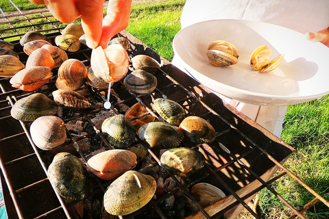 Saint-Sébastien : Visite de la côte, des fruits de mer et du vin