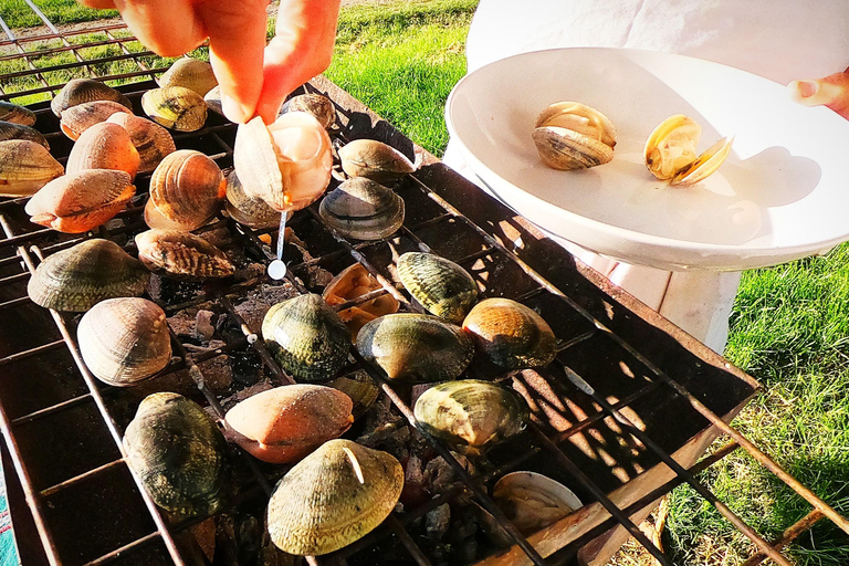 San Sebastian: Tour della costa, dei frutti di mare e del vino