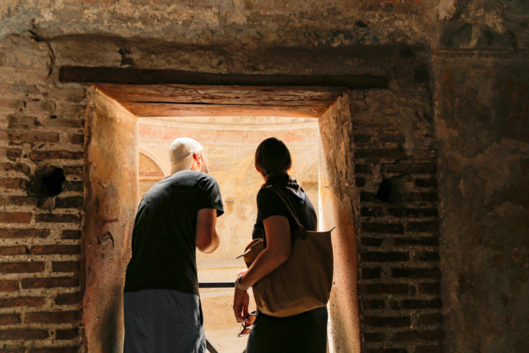 Pompeii: Private Guided Tour with Pick-up Private Tour in French from Positano