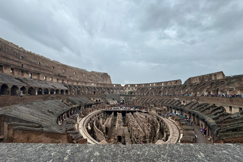 Roma: Visita a la Arena del Coliseo, el Foro Romano y el Palatino