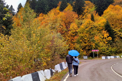 راتشا بالألوان – مغامرة خريفية في جبال جورجياراشا بالألوان – مغامرة الخريف في جبال جورجيا