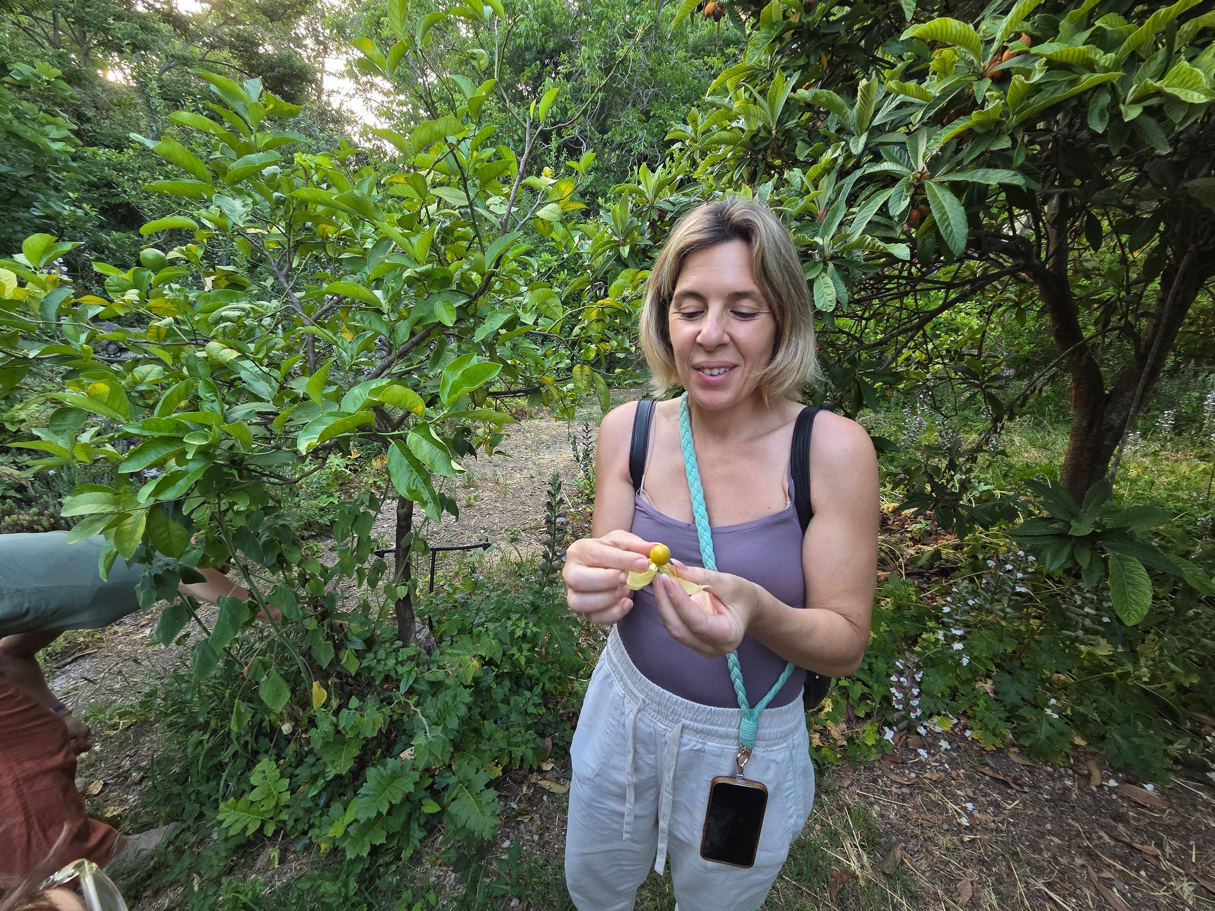 Noto: Essbarer Wald – Lebensmittelverkostung von Heilkräutern und Obst