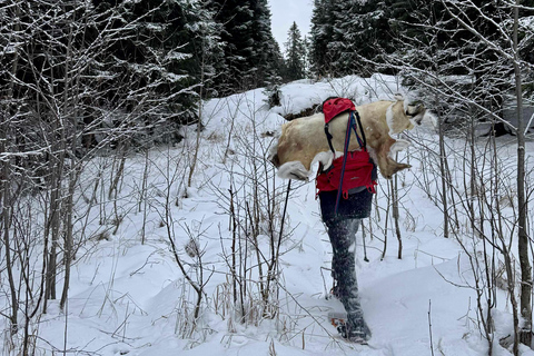 Oslo: Snowshoe & Bonfire in Troll Country