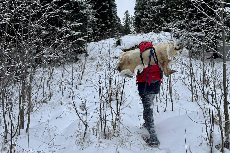 Oslo: Snowshoe & Bonfire in Troll Country