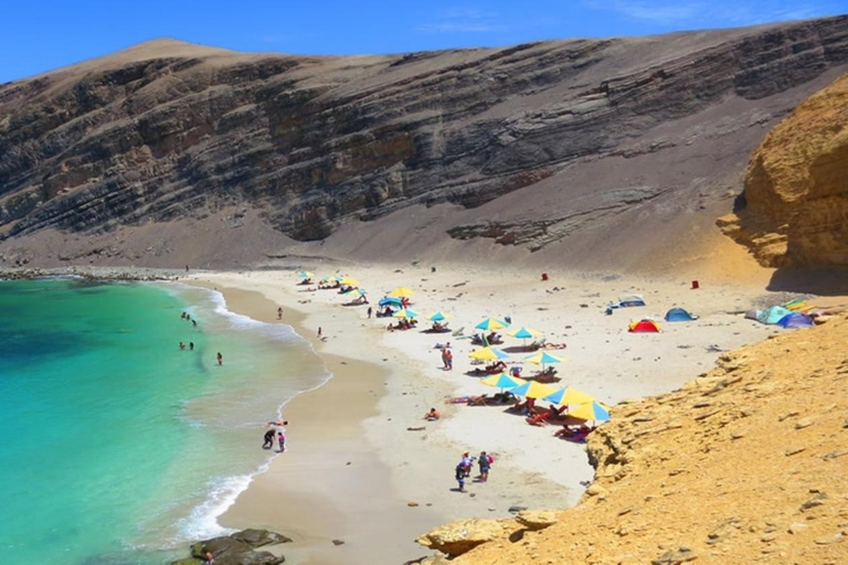 From Ica: Ballestas Islands &amp; Paracas Reserve Round Trip