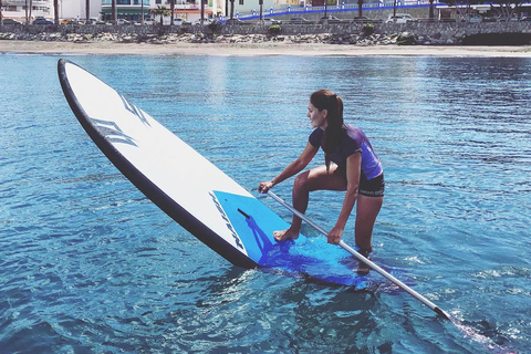 Gran Canaria : Stand Up Paddle (SUP) course, Arguineguín. 2 hours. Gran Canaria : Paddle Surf Course, Arguineguín. 2 hours.