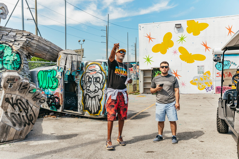 Tour di street art di 1 ora del Wynwood Art District in golf cart