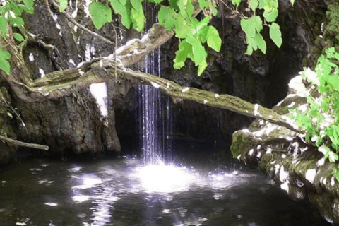 From Paphos: Aphrodite Experience, Sea Caves, & Winery Tour