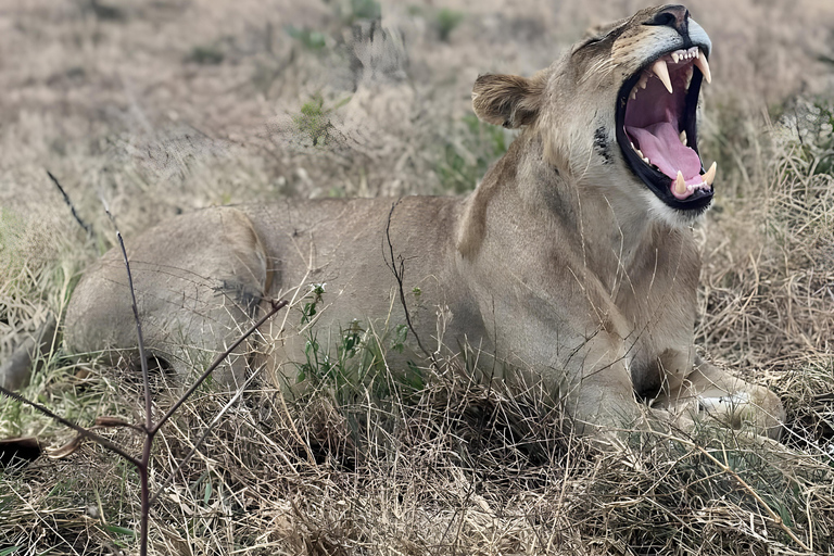 Zanzibar: Aventura de Safari de 3 dias no Parque Nacional Mikumi