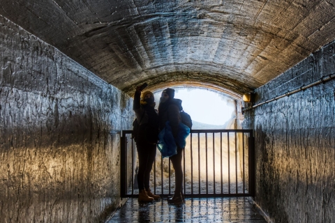 Cataratas del Niágara: Visita guiada a pie y entrada "Viaje tras las cataratas