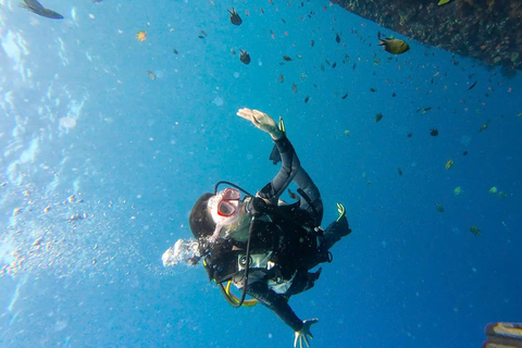 Da Nang: Cham Islands Fun Dive with Lunch and Transfers Fun Divers with Certified - two dive