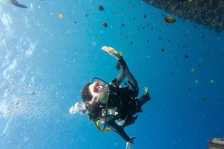 Da Nang: Cham Islands Fun Dive with Lunch and Transfers Fun Divers with Certified - two dive