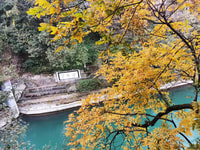 Tour del sistema di irrigazione del Monte Qingcheng e Dujiangyan di 1 giorno - Hizvo