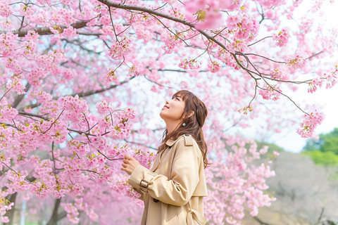 From Seoul: Scenic Lake Day Trip with Cable Car or Cruise Spring : Cable Car + Cherry Blossom Route