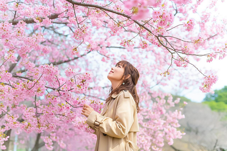 From Seoul: Scenic Lake Day Trip with Cable Car or Cruise Spring : Cable Car + Cherry Blossom Route