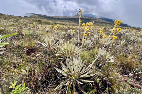 The Route of Water and Mist: Páramo Trek in Cruz Verde