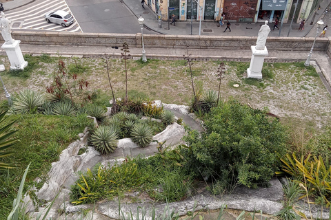 أفريقيا الصغيرة - جولة سيرًا على الأقدام من الماضي إلى المستقبلأفريقيا الصغيرة - جولة سيراً على الأ