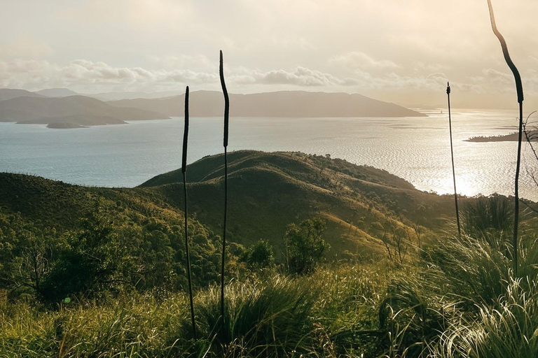 Excursão a pé autoguiada pelo sul da Ilha Molle