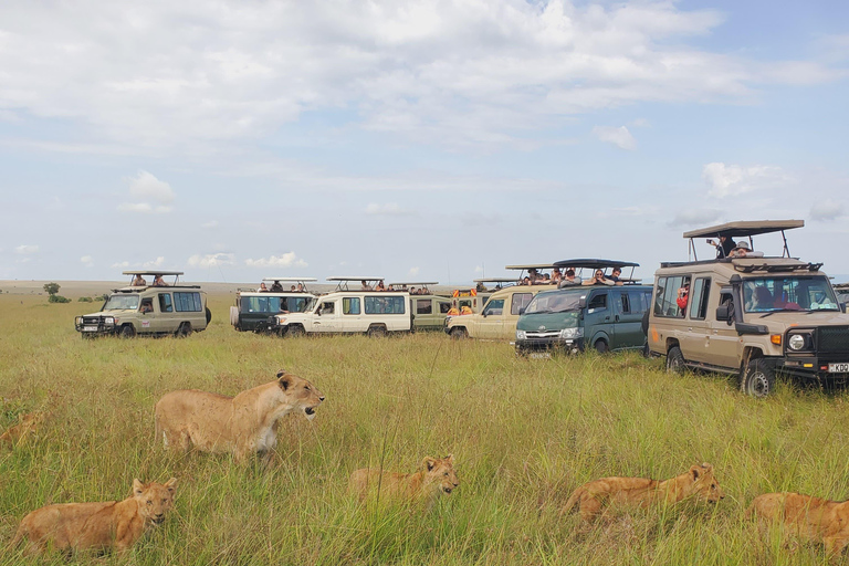 نيروبي: رحلة سفاري في بحيرات الوادي المتصدع لمدة 5 أيام مع مكان إقامةنيروبي: رحلة سفاري لمدة 5 أيام ف