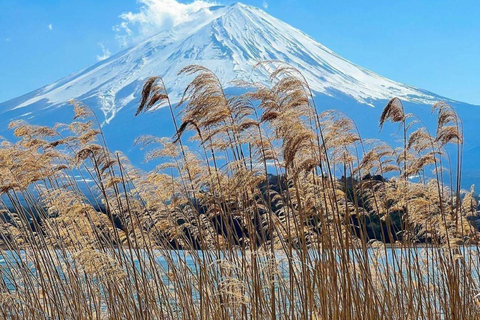 Tokyo: Private Daytrip to Mount Fuji - Fully Customizable Mt Fuji Private Luxury Van Tour (Customizable Experience)