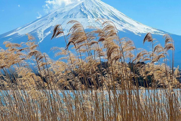 Tokyo: Private Daytrip to Mount Fuji - Fully Customizable Mt Fuji Private Luxury Van Tour (Customizable Experience)