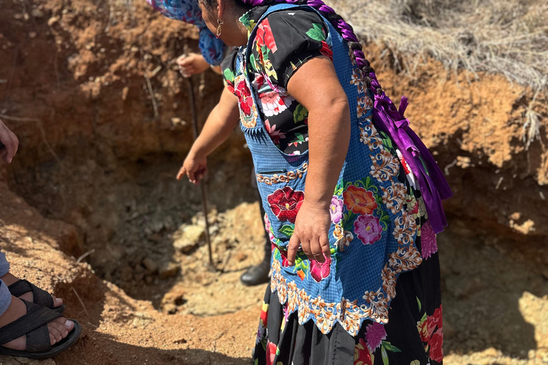 Oaxaca: Artisan Clay Pottery Workshop w/Breakfast and Brunch