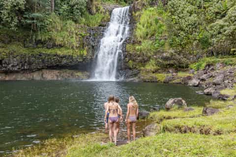 The best Hilo Jungle tours - 2026 (Verified Reviews)