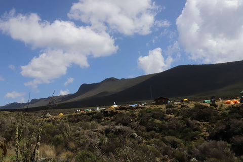 Kilimanjaro: Dagtrip naar Shira Plateau, vanuit Moshi/ Arusha