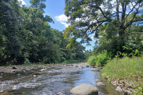 Visit and swim. Rum distillery, river, beach in Le Carbet, private tour Explore the North Caribbean with your driver. Rum Distillery, River, Beach