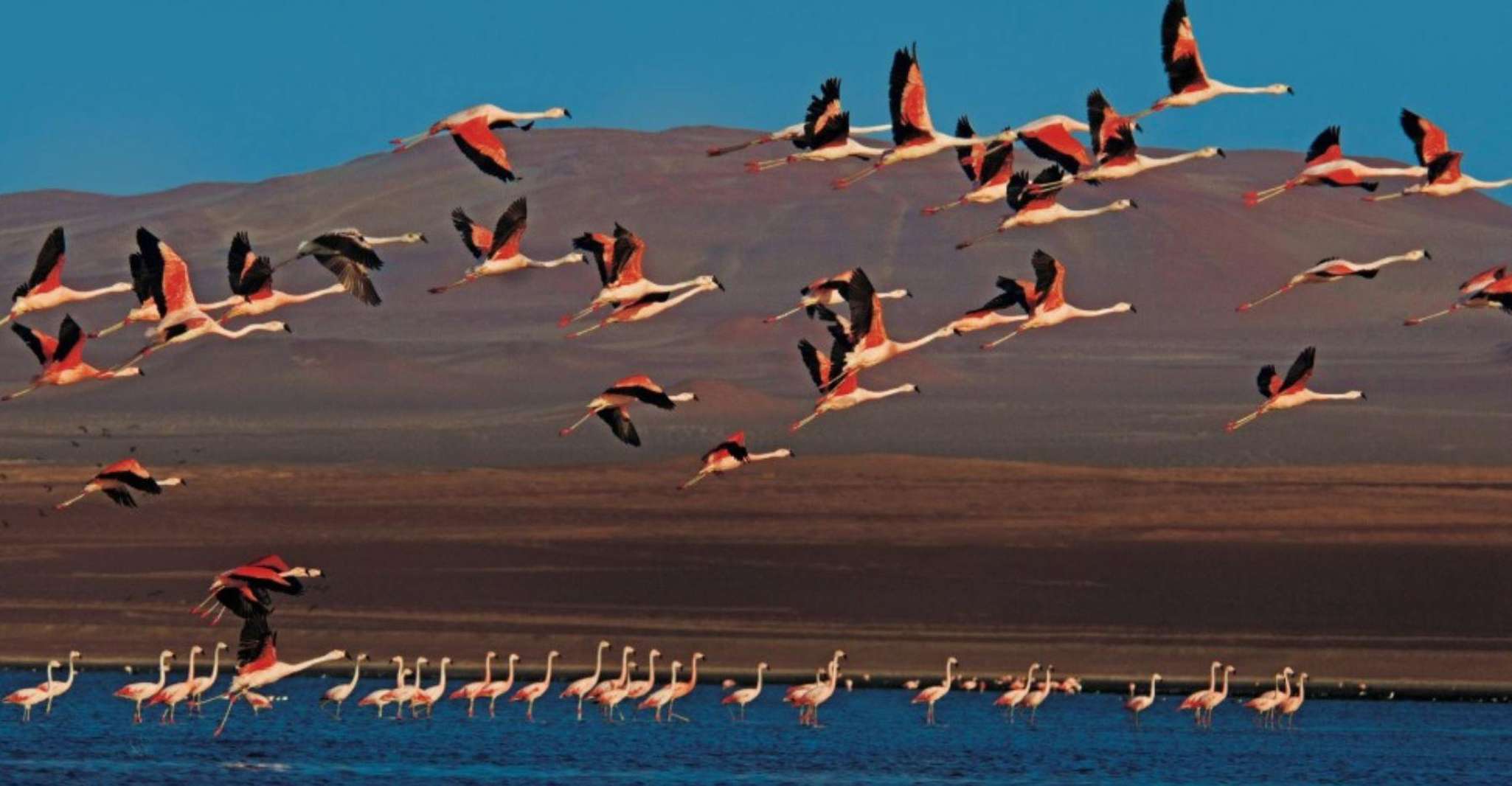 Da Paracas, Tramonto nella Riserva Nazionale Paracas - Hizvo