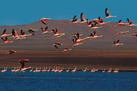 De Paracas, coucher du soleil dans la réserve nationale de Paracas - Hizvo