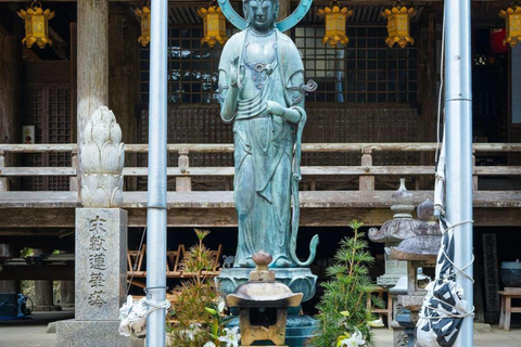 Wakayama & Koyasan: Private Tour with Hotel Pickup & Lunch