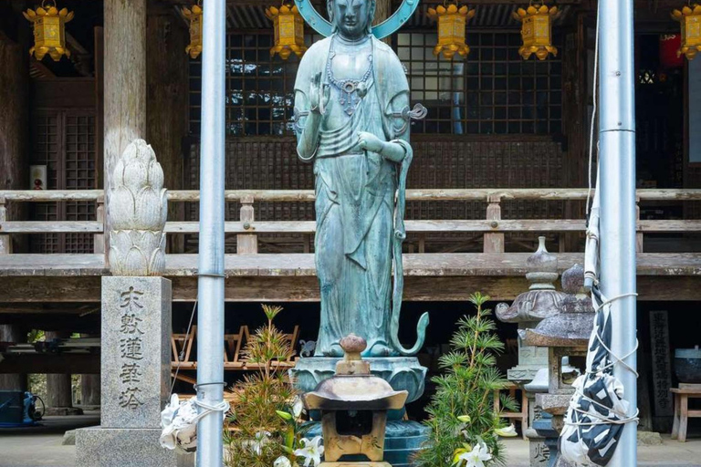 Wakayama & Koyasan: Private Tour with Hotel Pickup & Lunch