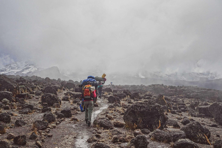 Mt.Kilimanjaro: 6-tägiges Lemosho Route Kilimanjaro Trekking