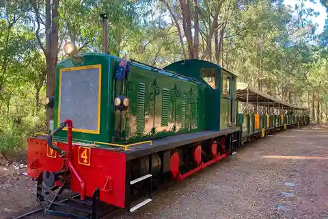 Perth: Excursión en tren, senderos y delicias a la leña de Dwellingup