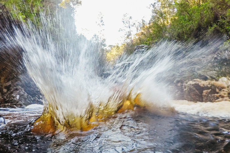 Plettenberg Bay: Canyoning Trip Plettenberg Bay: Standard Canyoning Trip