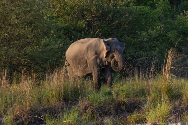 Negombo: 3-Day Sigiriya, Kandy, & Nuwara Eliya Tour