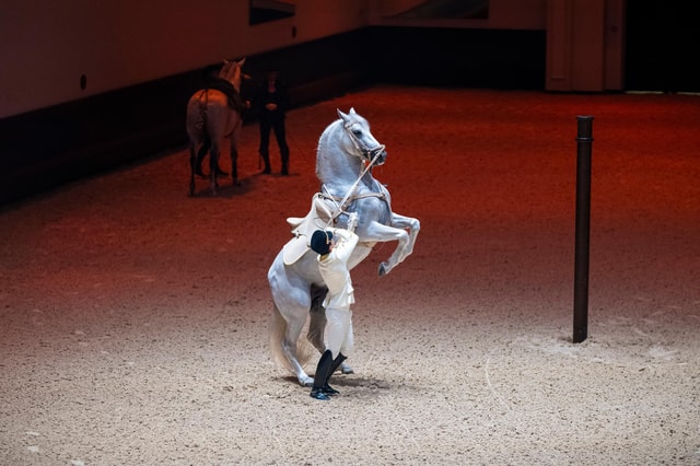 Furusiyya: The Return to Origins - ADREA Show