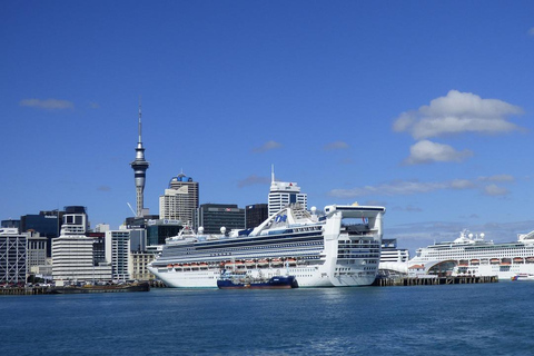 Wycieczka półdniowa po miejskich cudach Auckland