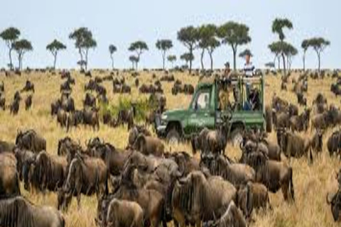 From Nairobi: 4-Day Naivasha and Masai Mara Luxury Safari